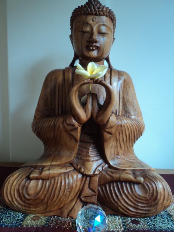 White Lotus Oasis Hotel อูบุด ภายนอก รูปภาพ