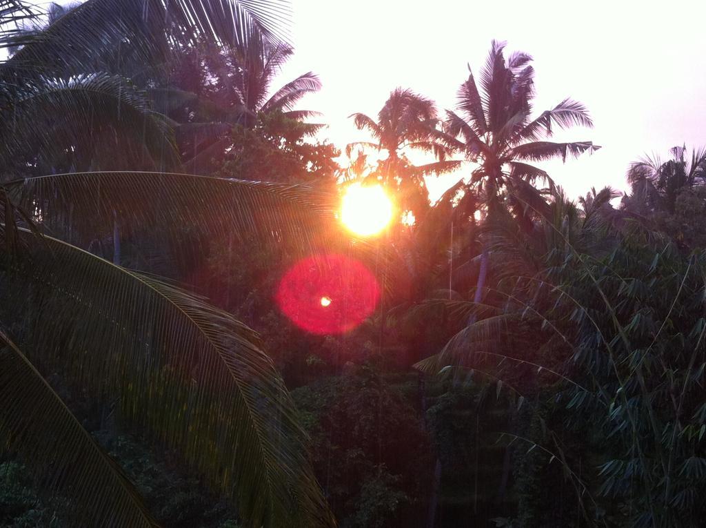 White Lotus Oasis Hotel อูบุด ภายนอก รูปภาพ