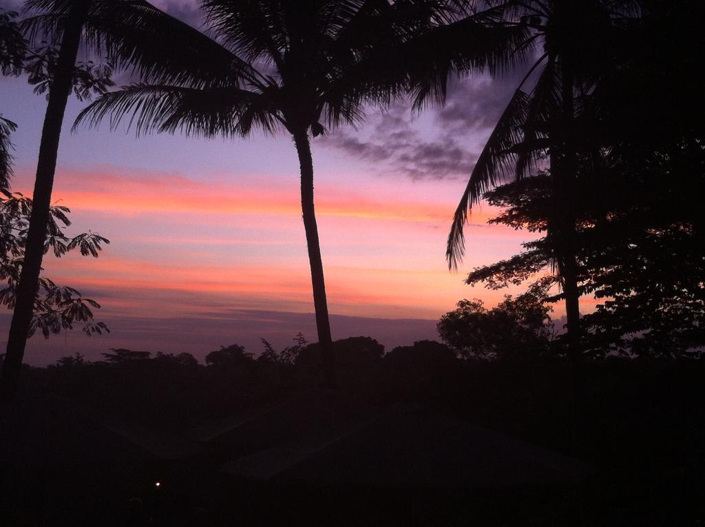 White Lotus Oasis Hotel อูบุด ภายนอก รูปภาพ