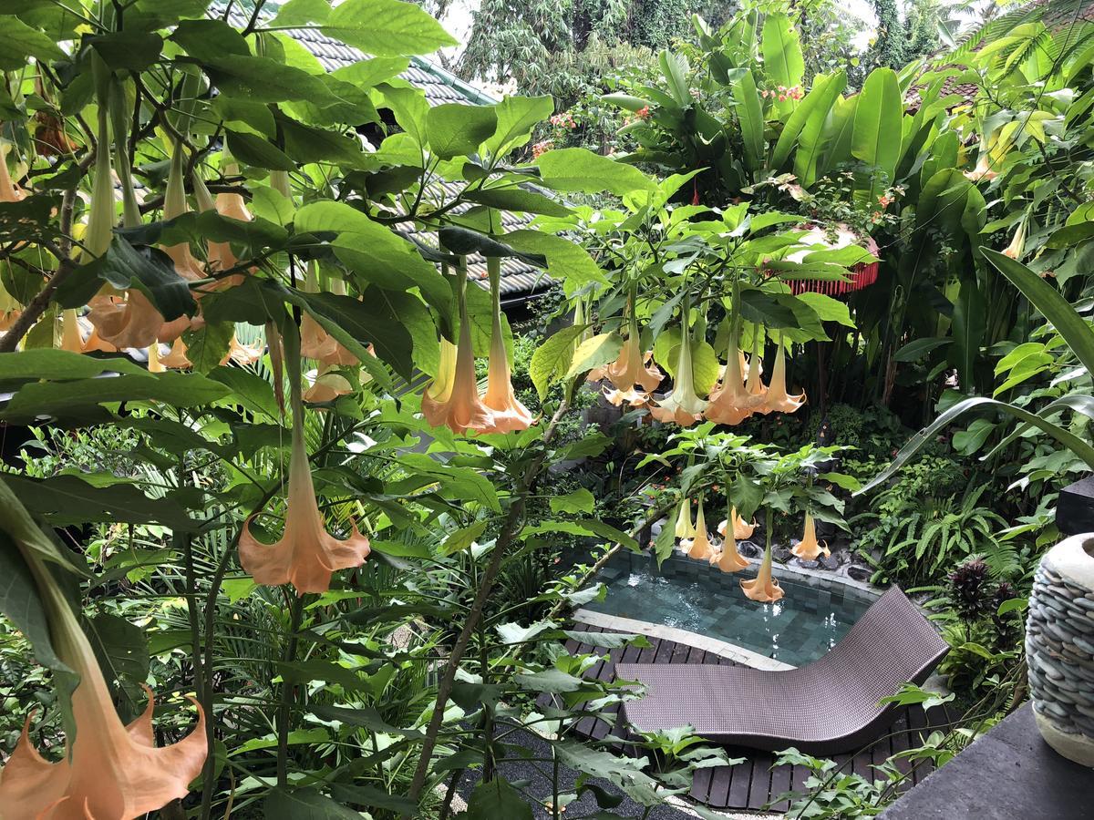 White Lotus Oasis Hotel อูบุด ภายนอก รูปภาพ